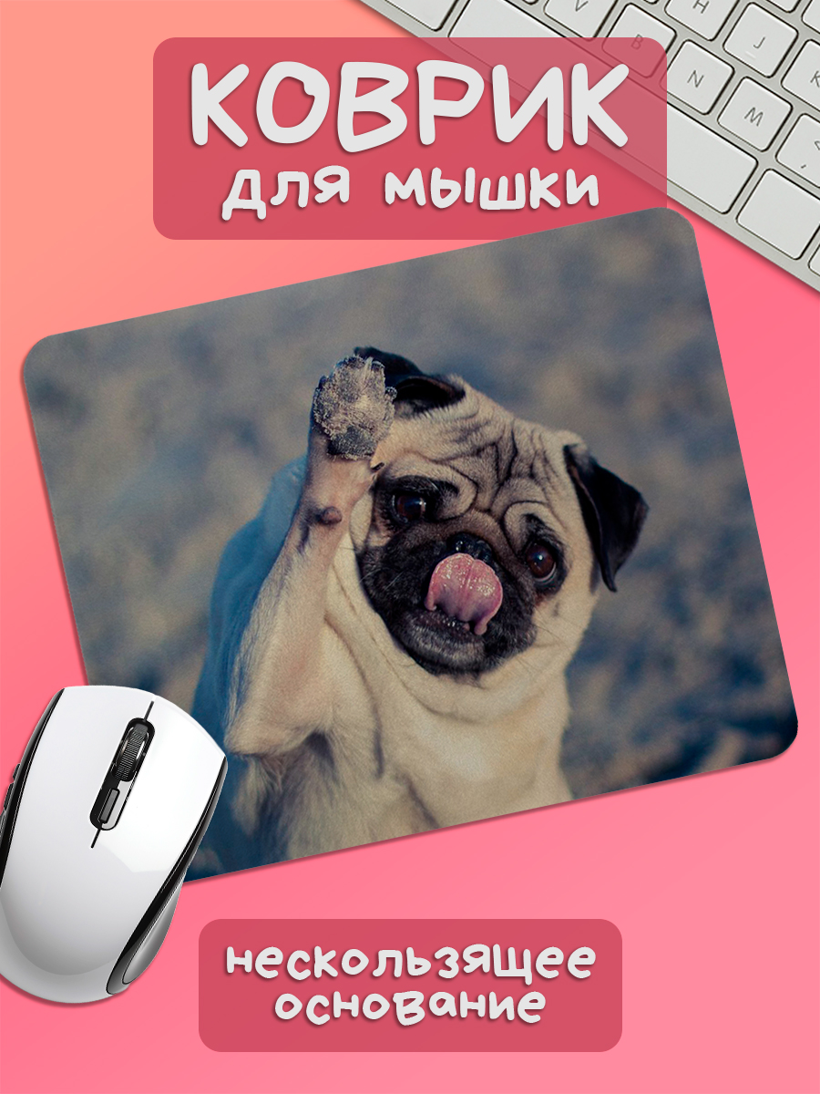 Винница, Украина секс үшін қыздар Жігітті диванда белдікпен ұрып жатқан видео