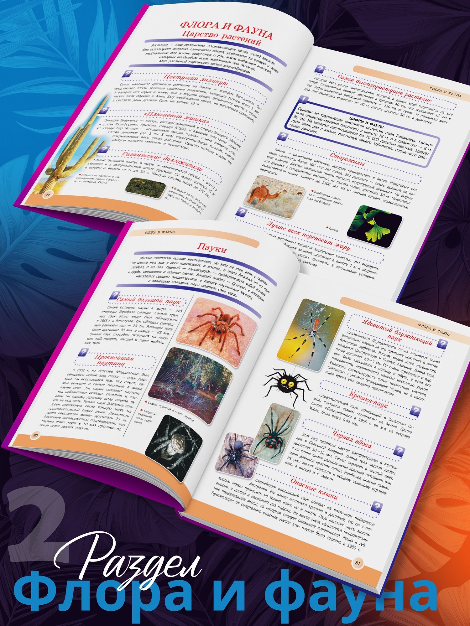 Книга для детей в подарок Новейшая энциклопедия школьника | The New Encyclopedia for Schoolchildren - Ozon image 6