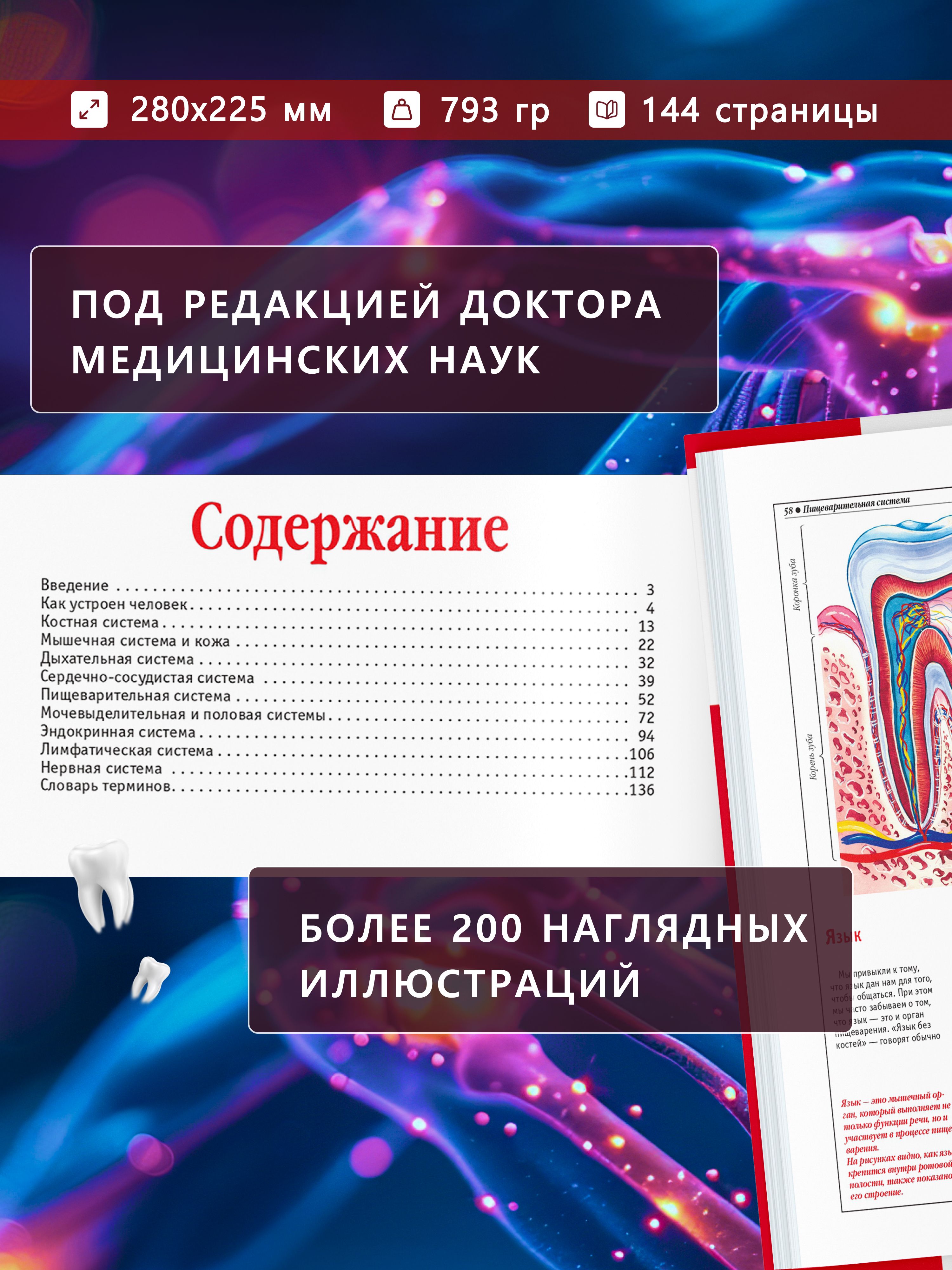 Книга Атлас анатомии человека, основы строения и физиологии | Atlas of Human Anatomy: Fundamentals of Structure and Physiology - Ozon image 2