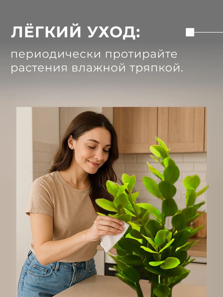 Замиакулькас 90cm DS2021-089 Китай
