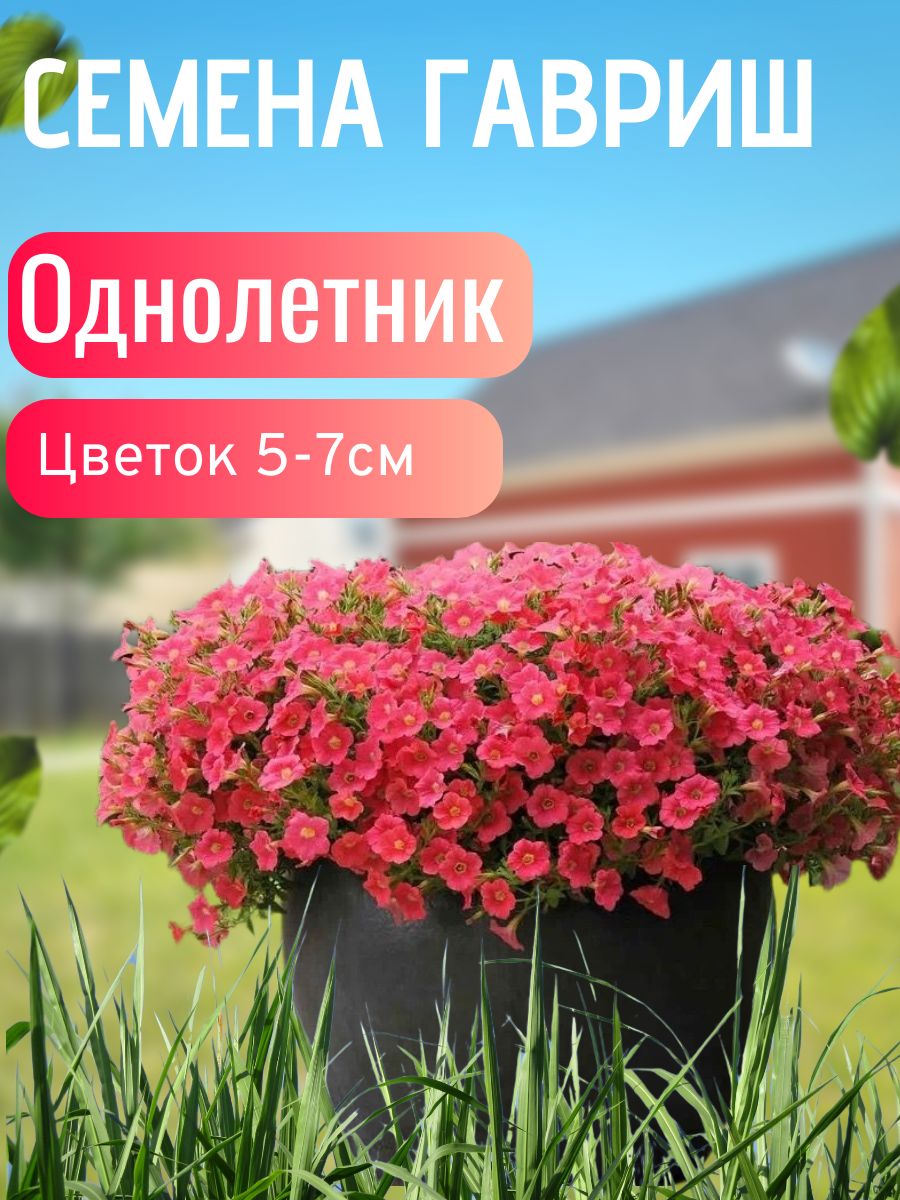 Петуния Петуния (Волна Коралл)_12345677_СГрозовый, 0.01 г - купить с ...