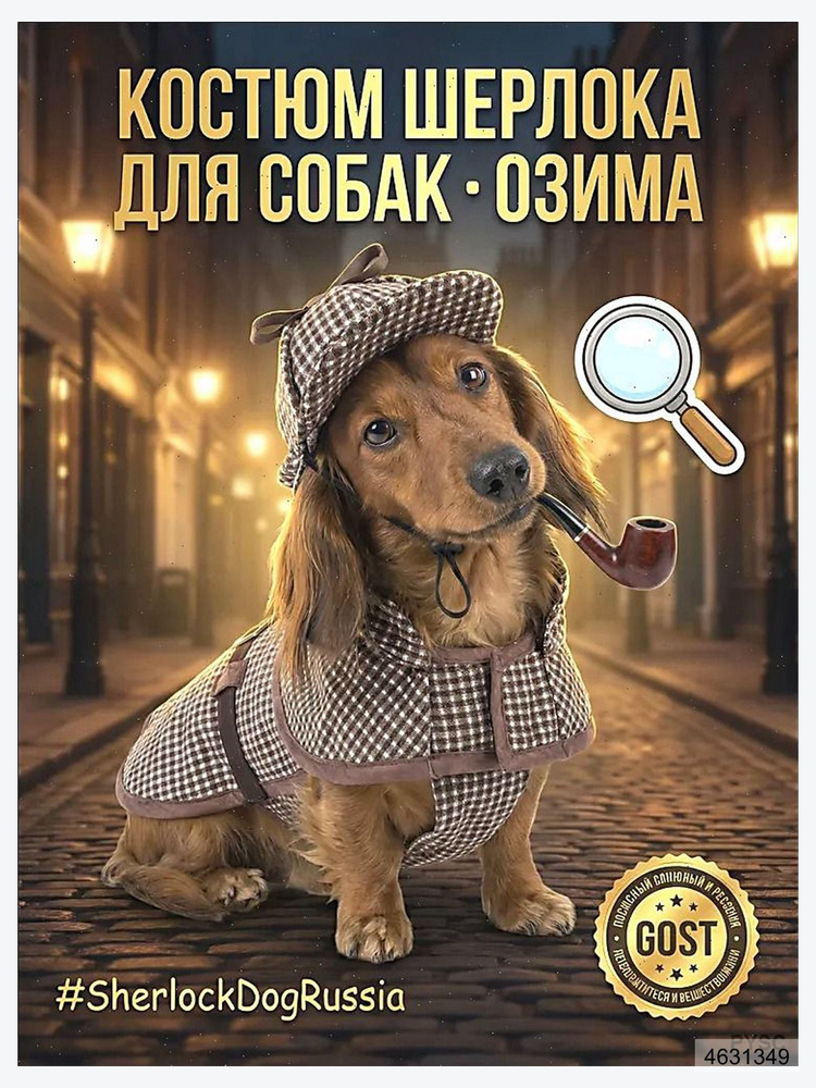 OZON ozon