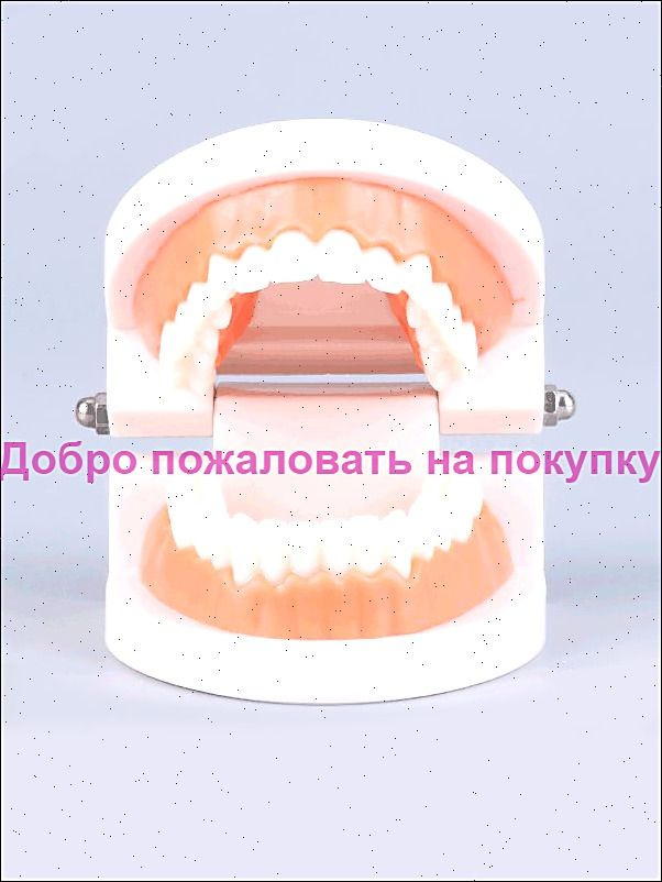 Анатомическая модель #1