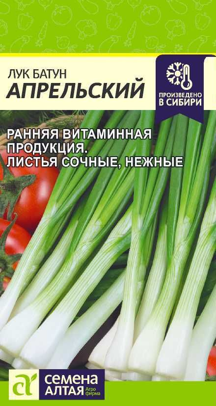 Лук батун "Апрельский" семена Алтая для открытого грунта и теплиц, 1 гр  #1