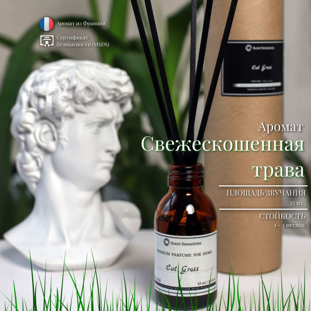 Ароматический диффузор для дома Свежескошенная трава / Cut grass 85 ml