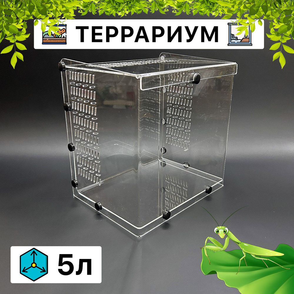 Террариум с крышкой для рептилий, пауков, улиток, богомолов, палочника ...