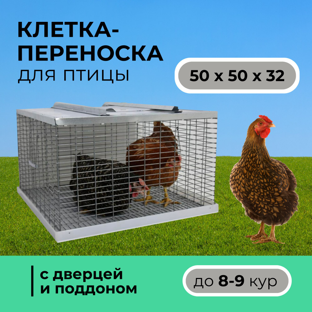 Клетка переноска для перевозки птицы/ Клетка для кур с 1 дверцей ...