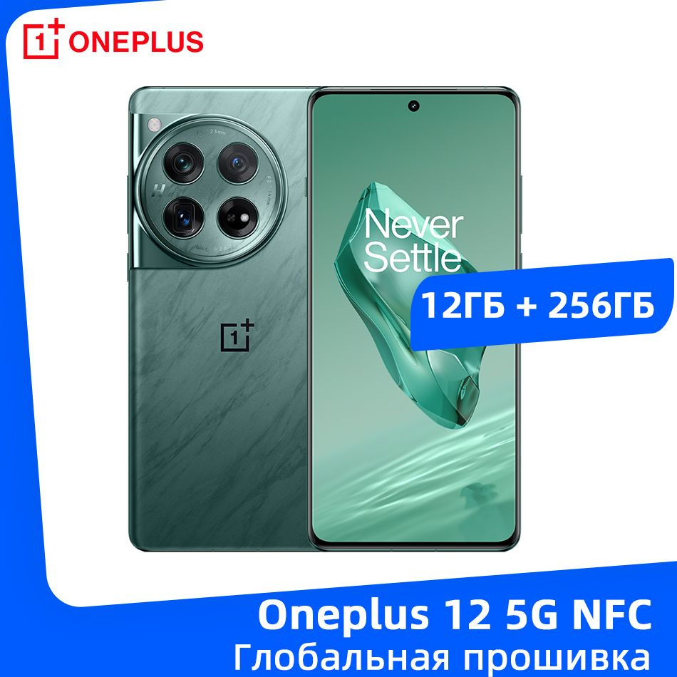 Смартфон OnePlus 12 - купить по выгодной цене в интернет-магазине OZON  (1326438093)