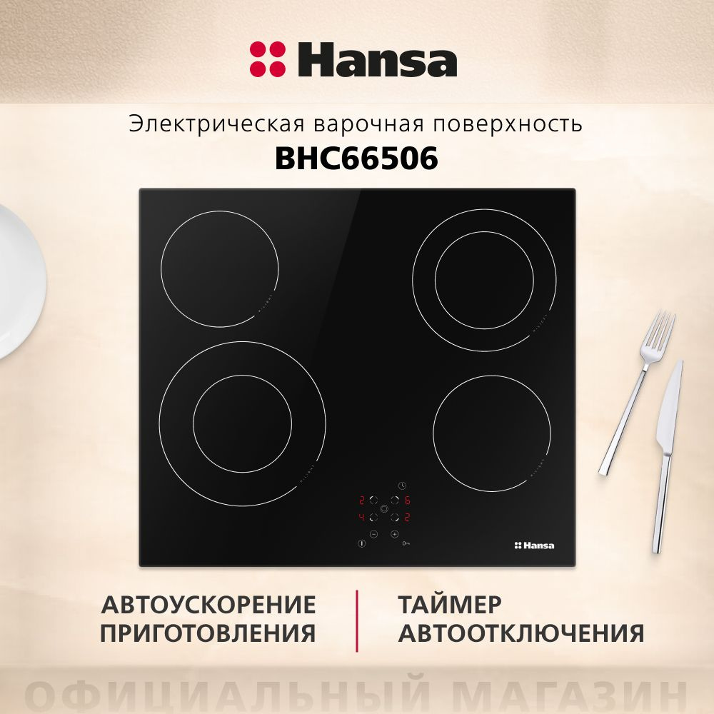 Электрическая варочная панель Hansa BHC66506, встраиваемая, 60 см, автоматика закипания, таймер автоматического #1