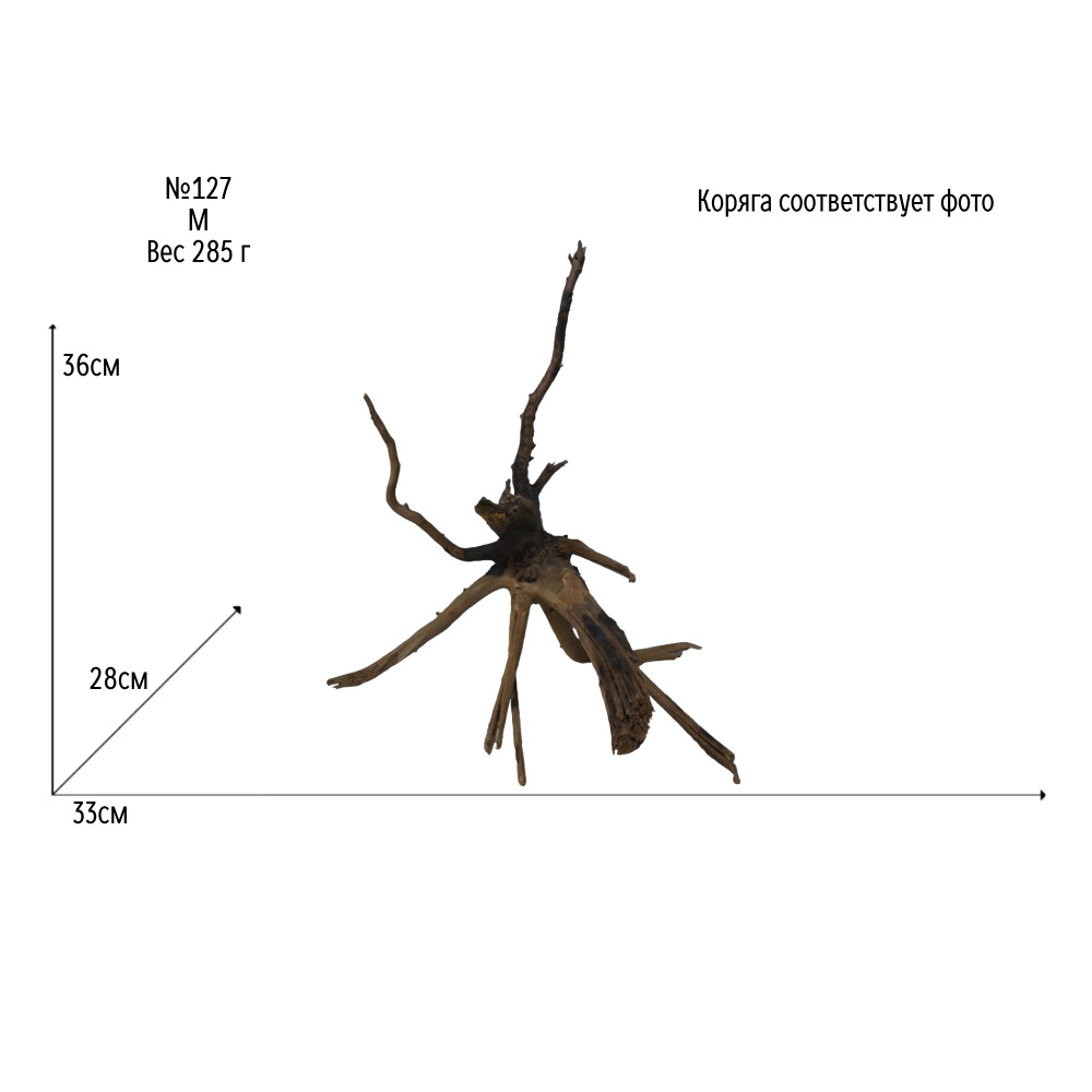 Натуральная коряга для аквариума и террариума. Корень Азалии M 33Х28Х36 см  №127