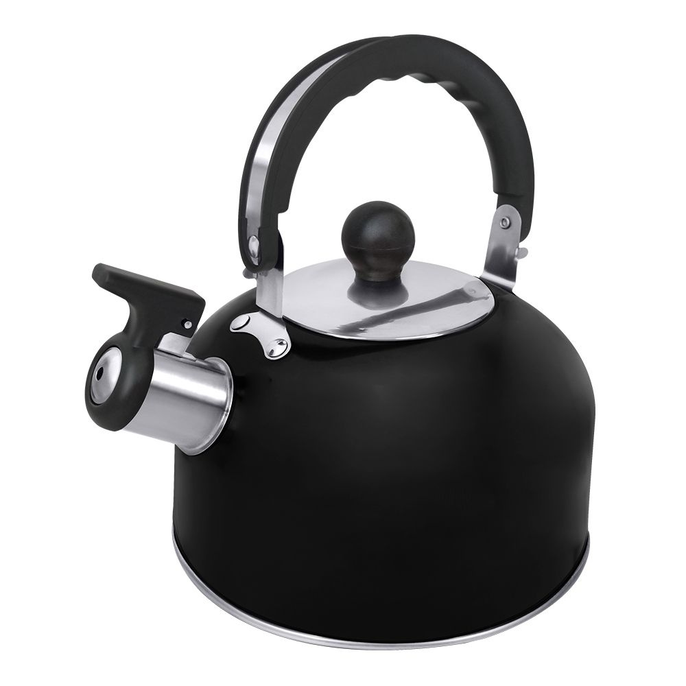 Чайник со свистком HOME ELEMENT HE-WK1603B, черный матовый #1