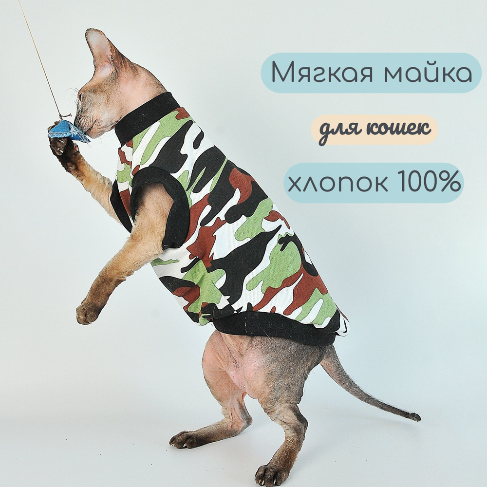 Мерки котов