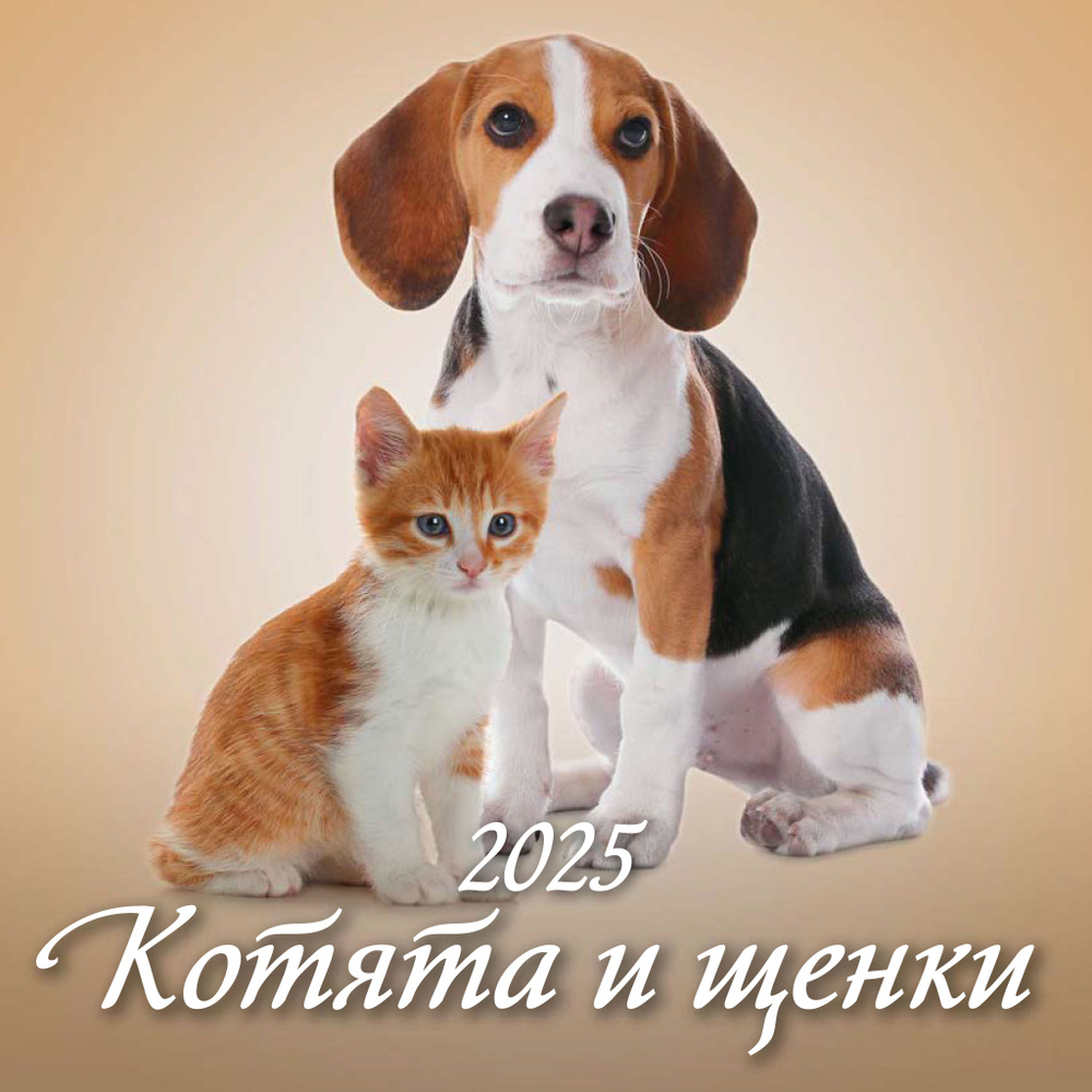 Календарь настенный перекидной "Котята и щенки" 285х285 6 листов на скрепке на 2025 год  #1