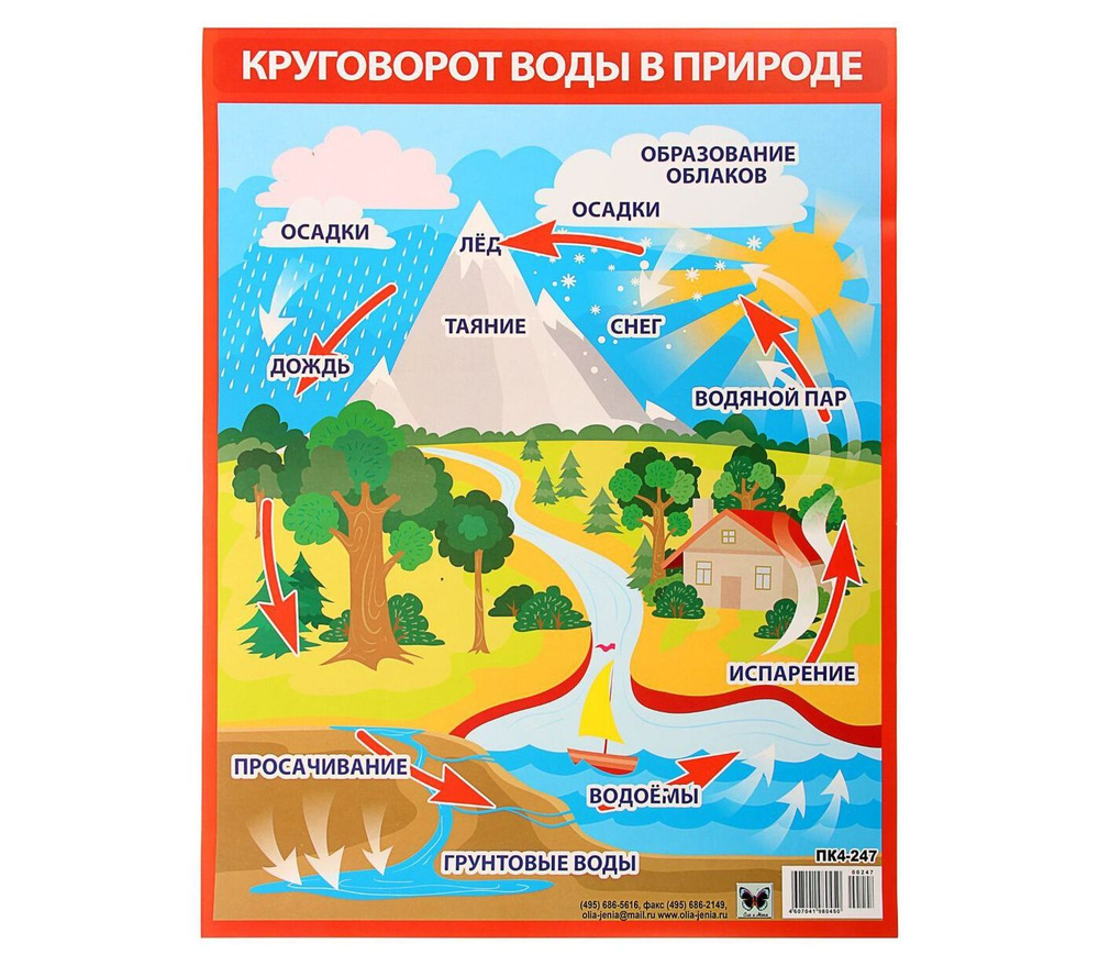 Плакат "Круговорот воды в природе" А2 - купить с доставкой по выгодным ...