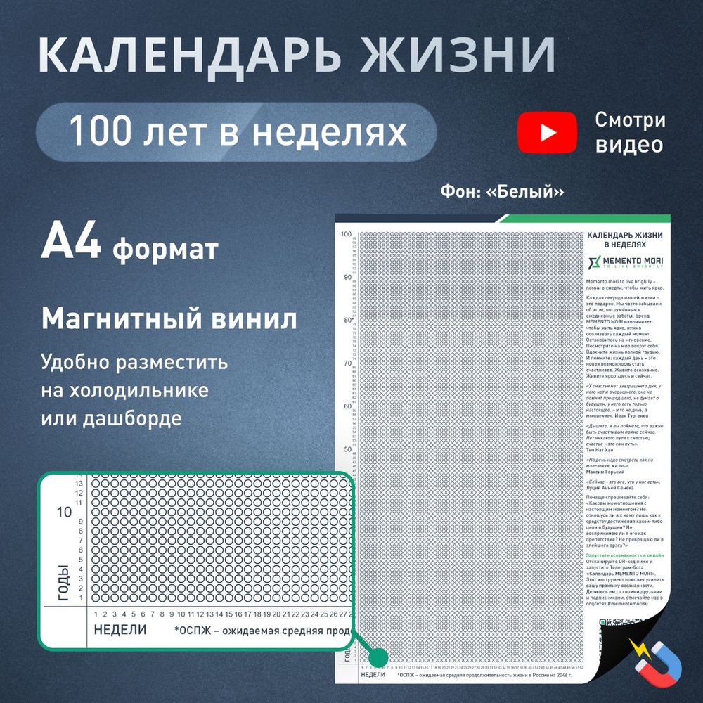 Календарь жизни в неделях MEMENTO MORI магнитный А4 100 лет / Мотивационный  календарь осознанности