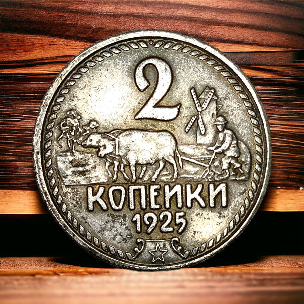 Монета СССР 2 копейки 1925 года. Серебрение. Колхозник с колосьями  #1