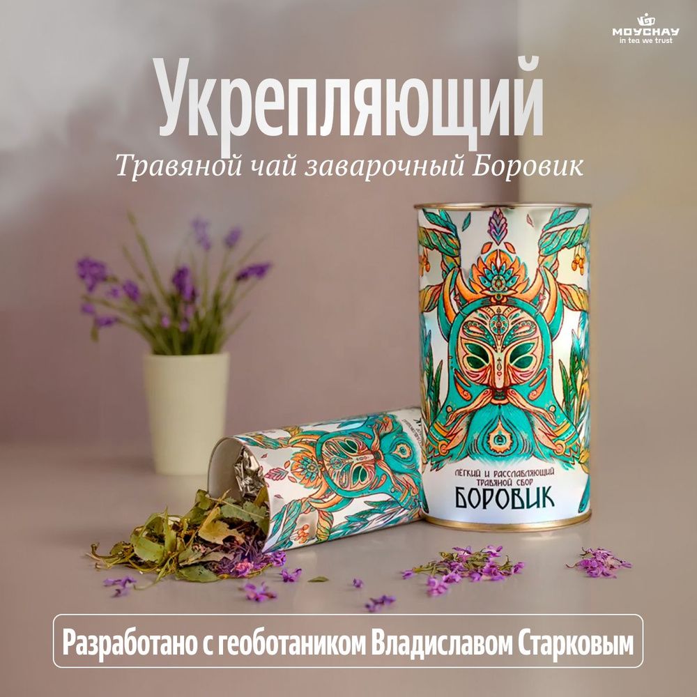 Чай подарочный новогодний "Боровик" (травяной с ягодами), 50 г  #1