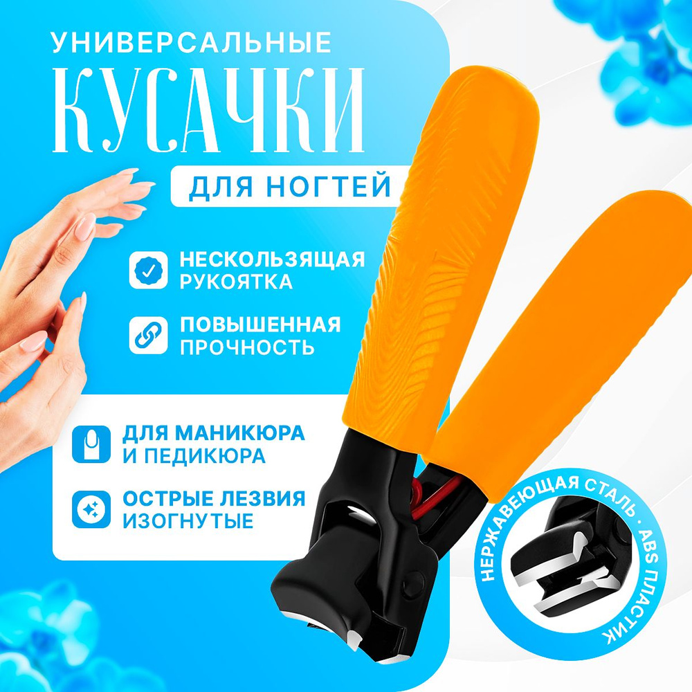 Книпсер #1
