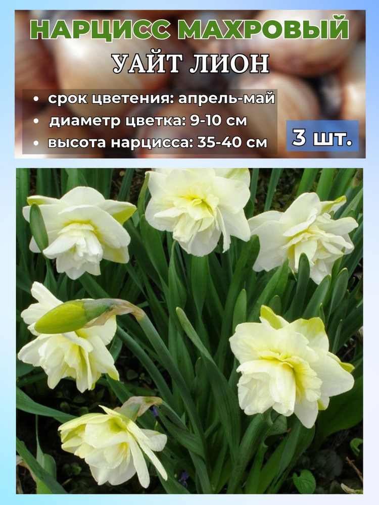 Magic Blooming Garden Луковицы,0.05кг #1