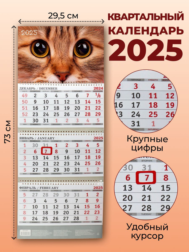 Календарь 2025 настенный #1