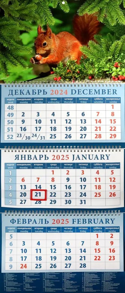 Календарь настенный квартальный 3 блочный 2025. Белка с орехом, 320 х 760  #1