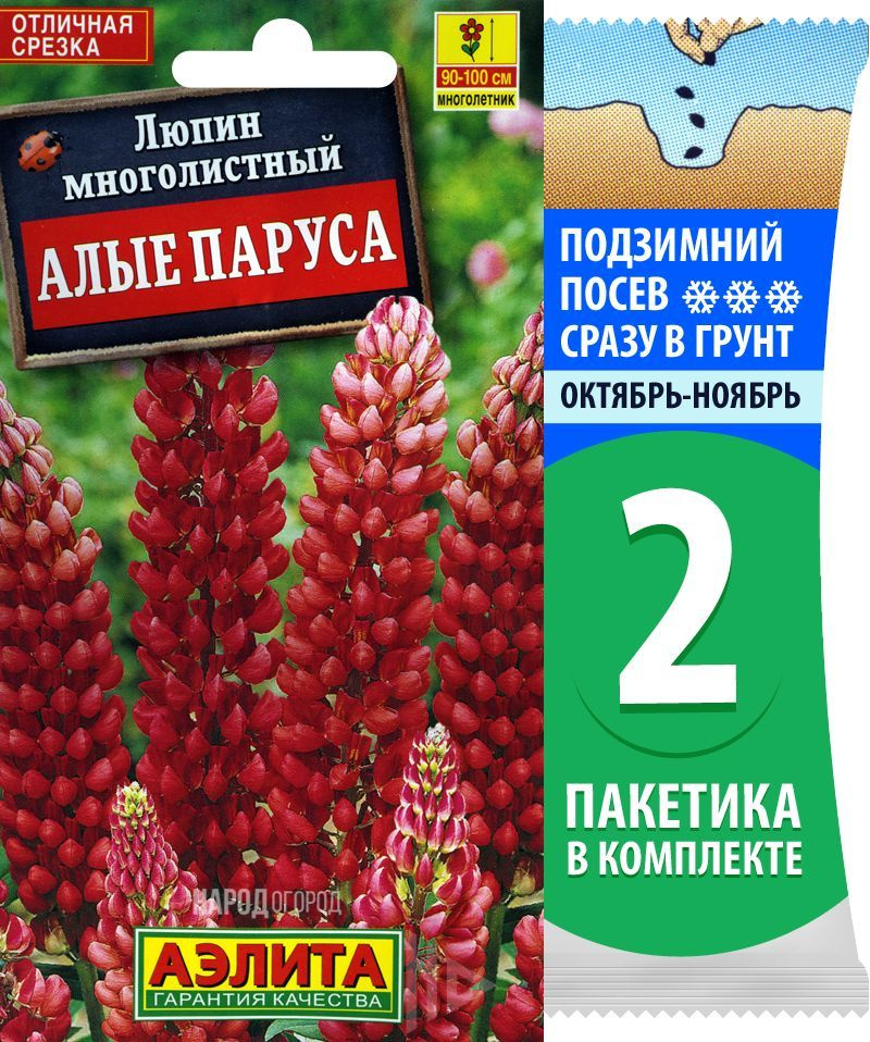 Семена Люпин многолистный Алые Паруса, 2 пакетика по 0,5г/20шт  #1