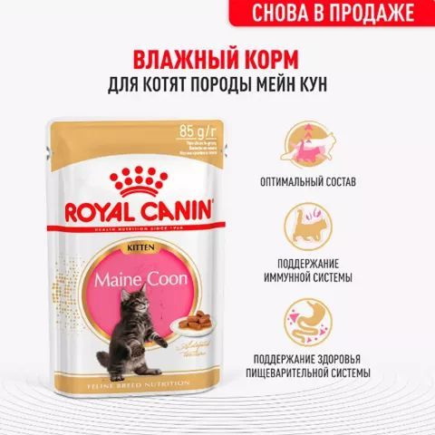 12 шт Royal Canin Kitten Maine Coon Влажный корм для котят породы Мейн Кун, 85 гр.  #1