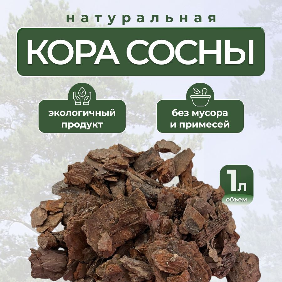 Кора сосны 1л. купить c доставкой на OZON по низкой цене (1897723761)
