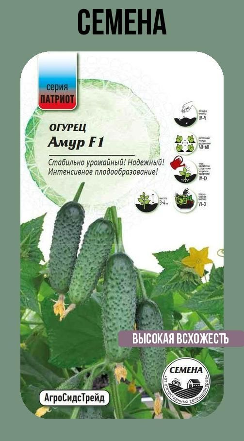 Семена овощей огурец Амур 8 семян в упаковке #1