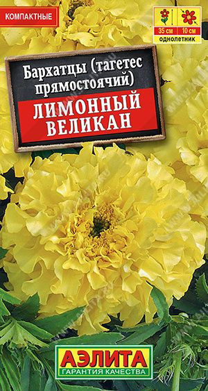 Семена Бархатцы "Лимонный великан" прямостоячие ,Агрофирма Аэлита #1