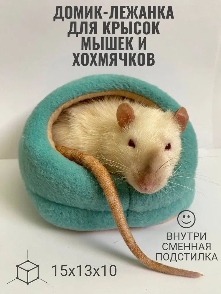 Крысиный домик, размер: 15х13х10 см, синий #1