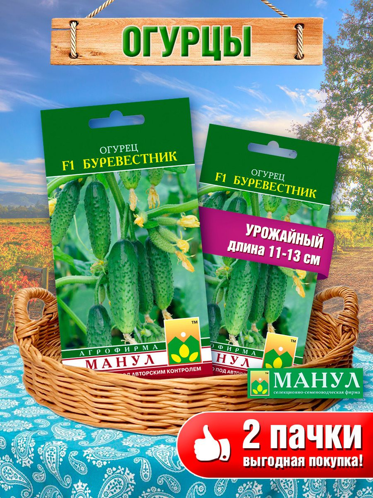 Семена огурца Буревестник F1 (2 пачки) #1