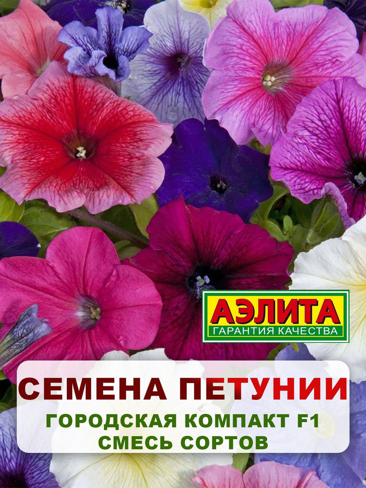 Семена Петуния карликовая "Городская компакт F1 смесь" 7 шт, однолетние цветы для дачи, сада и огорода, #1