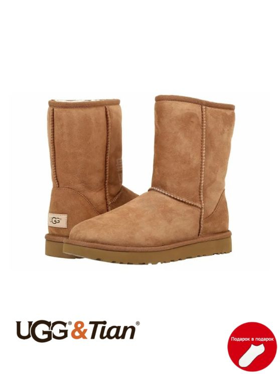 Угги UGG Classic Short #1