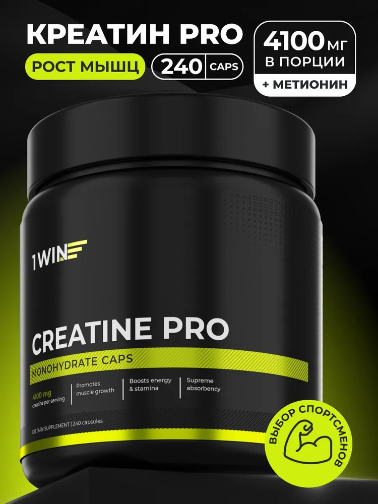 pro-240-ozon