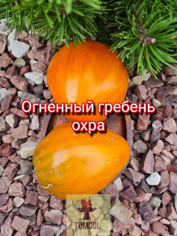 Семена #1