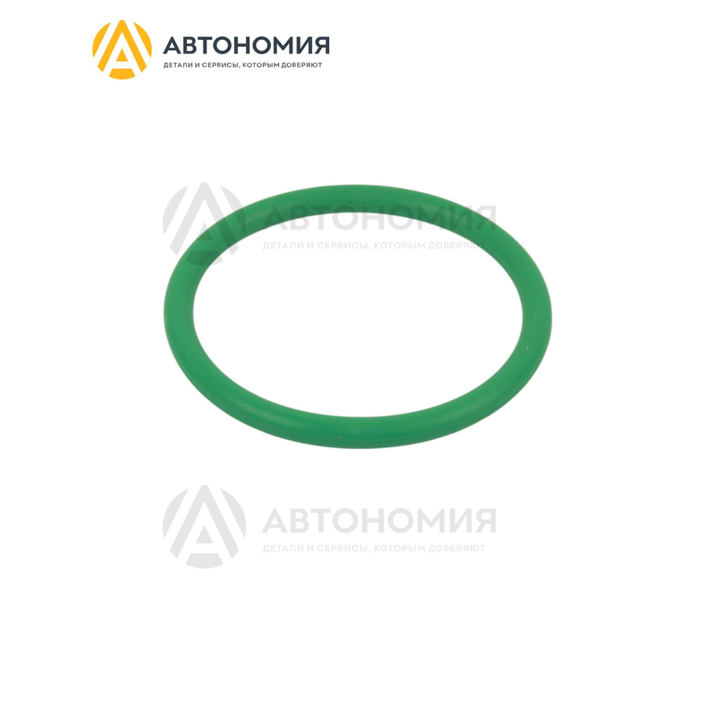 Кольцо уплотнительное Ford 1318986 #1