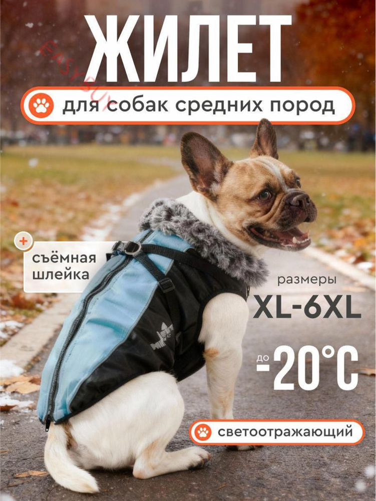 Одежда для животных #1