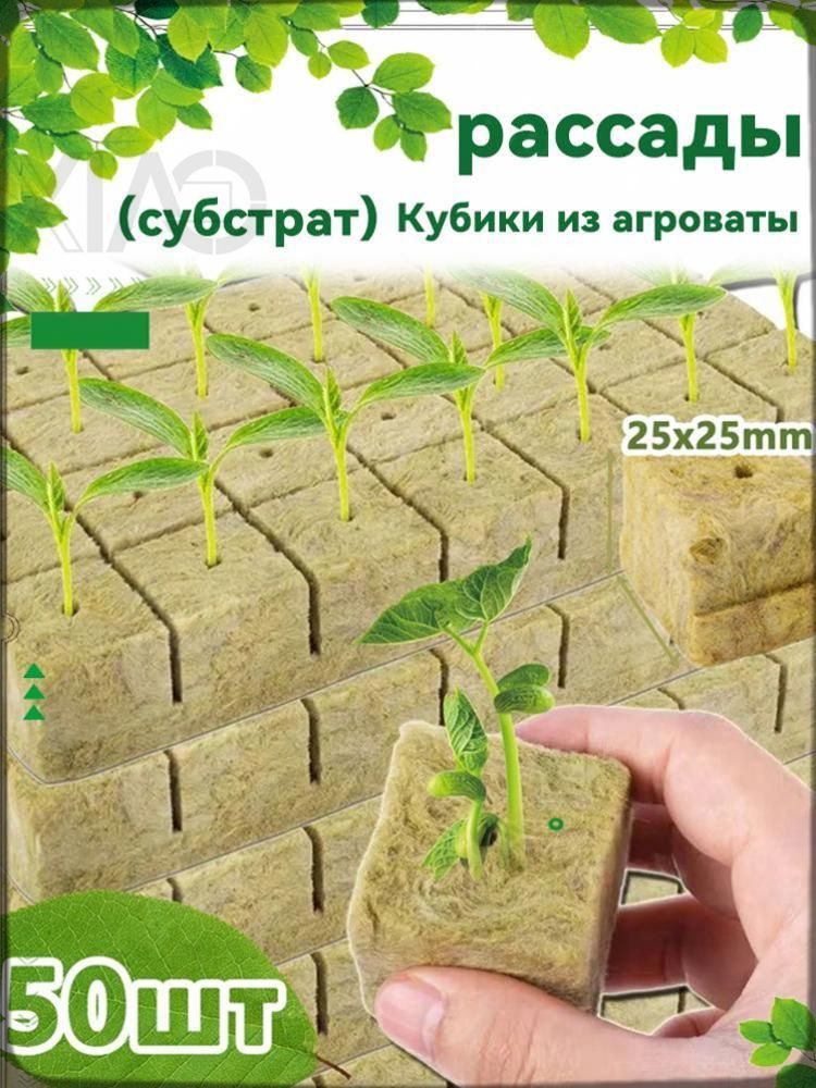 Таблетки торфяные #1