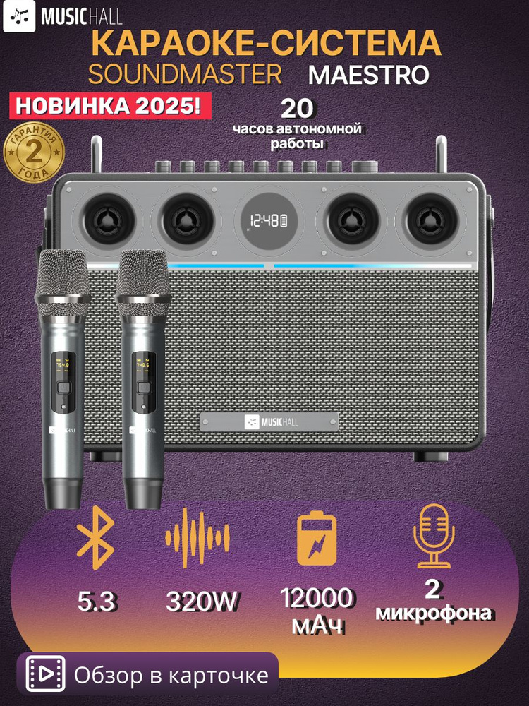 Профессиональная караоке-система 320W с 2 микрофонами MusicHall SoundMaster Maestro #1