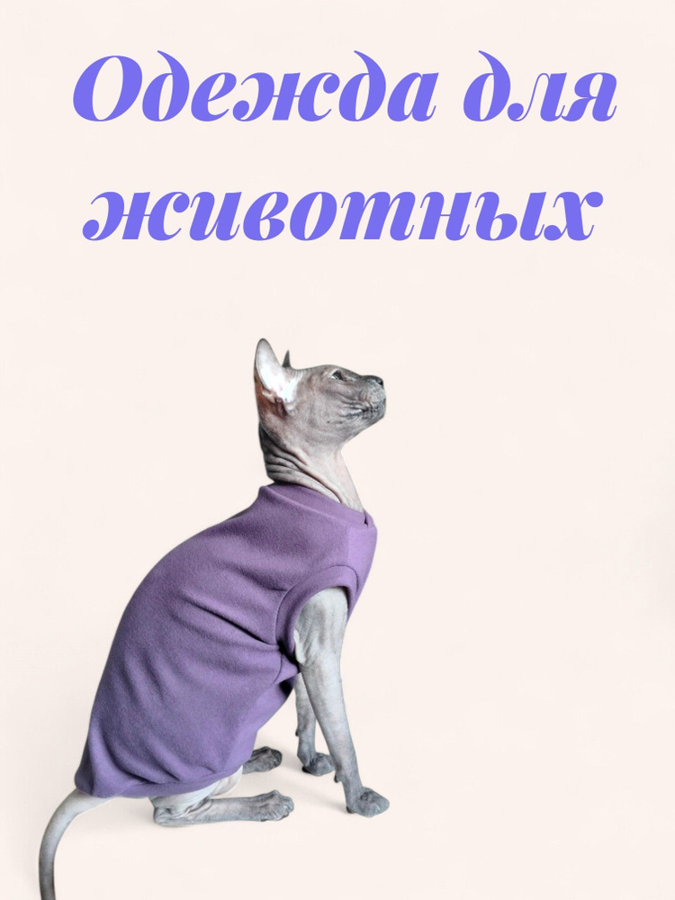 Одежда для животных #1