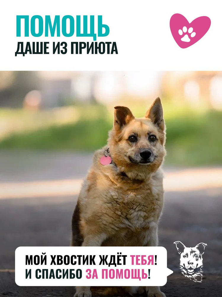 Помочь Дашеньке найти дом #1