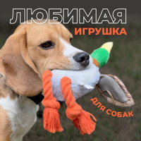 Кости и гантели - игрушки для собак. Рыжий Кот.