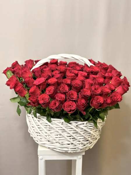 101 OZON 4290873636 101-ozon-4290873636