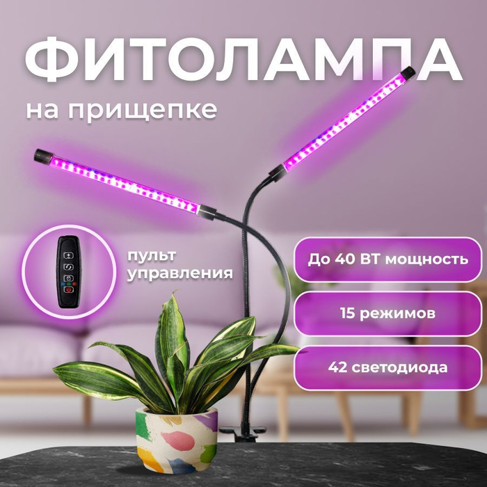 7163346121 7163346121