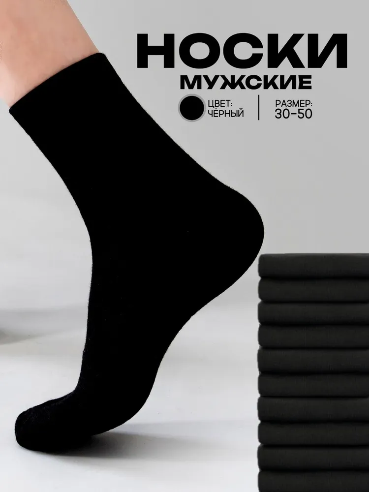 Носки АЛЬША мужские носки мужские, 10 пар