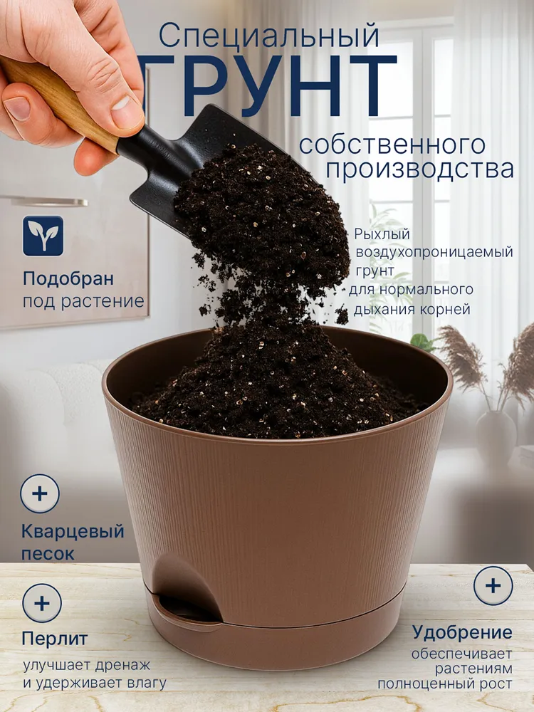 Набор для выращивания растений Катальпа Дерево счастья, вариант, фото 3