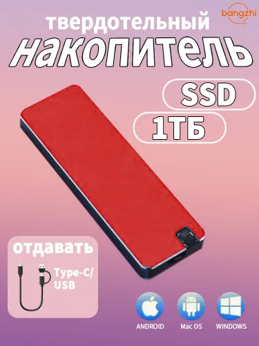 bangzhi 1 ТБ Внешний SSD-диск (25DSSD-1TB), USB 3.0, чтение - 30 Мб/с, запись - 50 Мб/с, Металл, кра