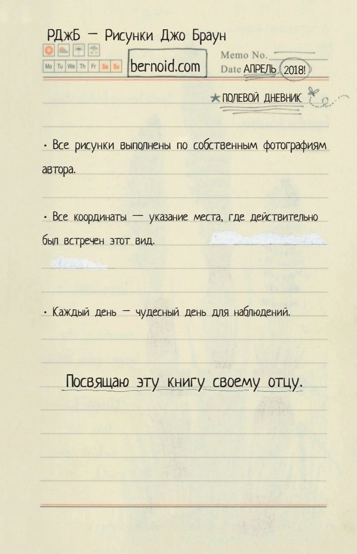 Секреты родной природы. Дневник маленьких открытий на каждый день | Secrets of Nature: A Diary of Daily Discoveries - Ozon image 3