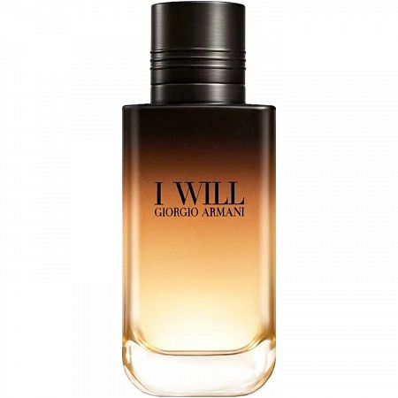 Giorgio Armani I Will Парфюмерная вода мужская 100 мл купить